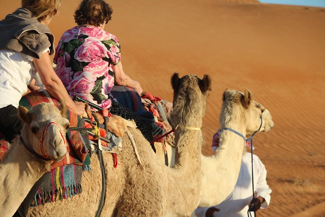 Wahiba Sands Safari with Wadi swimming and Camelride - From Muscat to the Wahiba Sands