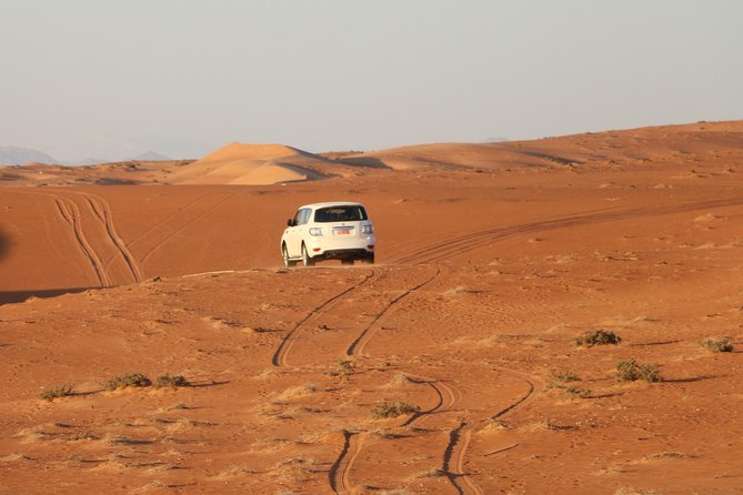 Wahiba Sands Safari with Wadi swimming and Camelride - Who will get the most from this Oman day trip?