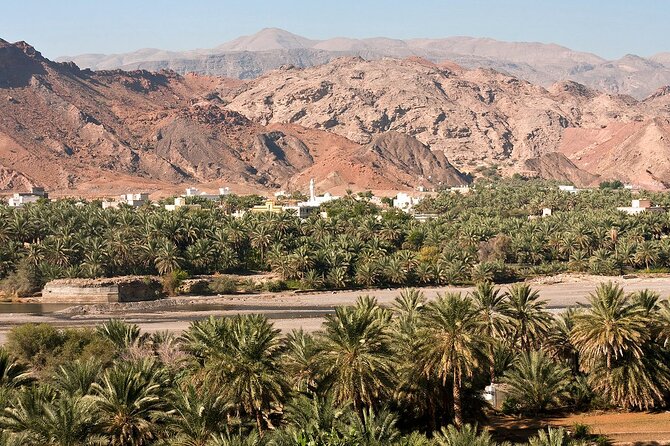 Wahiba Sands Tour - Wadi Bani Khalid: water, palms, and a chance to walk farther