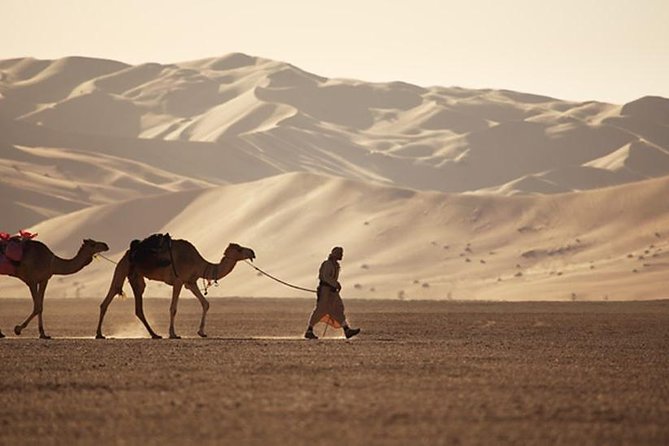 Wahiba Sands&Wadi Bani Khalid desert Safari(Muscat tours) : Private tours - Why this Muscat day trip works