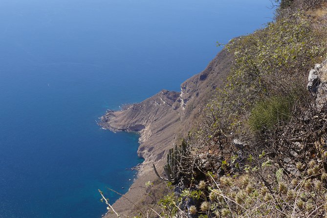 West Coast Mountains and Beaches (Fazayah beach + Shaat cliff) - Why this west coast day works