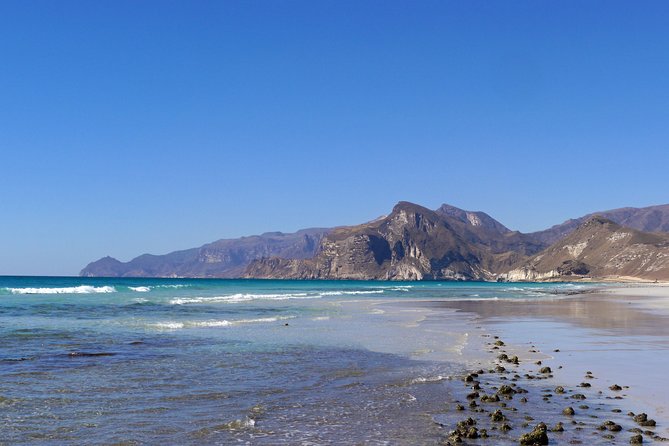 West Coast Mountains and Beaches (Fazayah beach + Shaat cliff) - Is $195 a fair price?