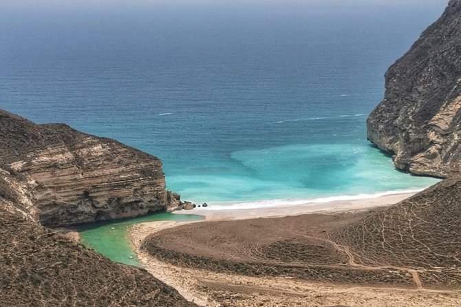 West Salalah, Al Mughsail Beach, White Beach, Frankincense Tree (Half day Tour) - Frankincense trees in their natural setting