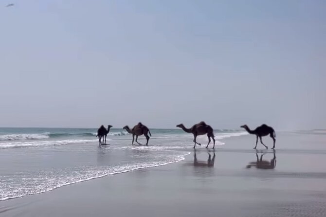 West Salalah Beaches and Blowholes - Why West Salalah’s coast is worth your half-day