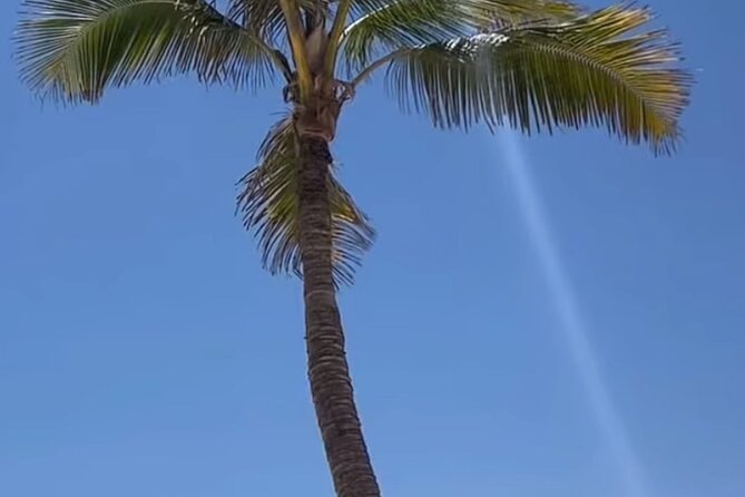 West Salalah Beaches and Blowholes - What the $80 cost gives you