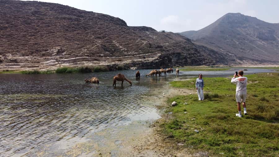 West Salalah Highlights: Coastal Wonders & Scenic Views - Mughsayl Beach and the blowholes