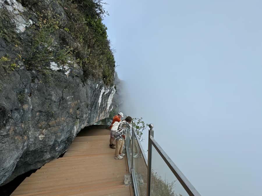 West Salalah Highlights: Coastal Wonders & Scenic Views - Frankincense trees and Dhofar’s old trade