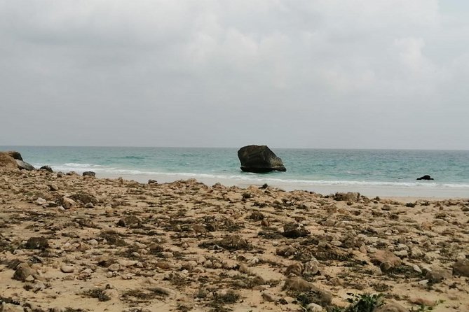 Where Sea Meets Rock: A Scenic Journey to West Salalah’s Shores - Hidden Beach: the rough track earns its reward